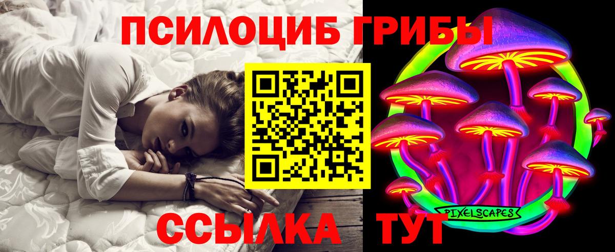 Галлюциногенные грибы Psilocybe Горно-Алтайск