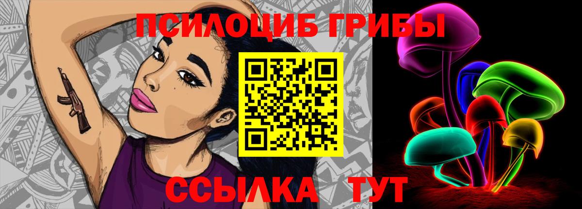 Горно-Алтайск  Галлюциногенные грибы Psilocybine cubensis  Вход с VPN 